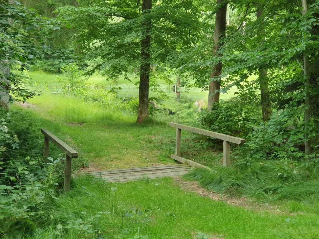 Psychotherapie in Krems | Mag. Judith E. Kantor, MSc | Foto symbolisiert Psychotherapie im Gehen